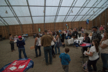 Arena 3.gif