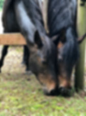 Sequoia and Keona 6.JPEG