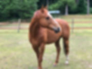 IMG_2039.JPEG