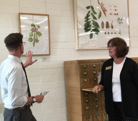 Matt Ritter talking with Diane Nelson Daly about her watercolor of Bauhinia x blakeana, Hong Kong Orchid Tree.
