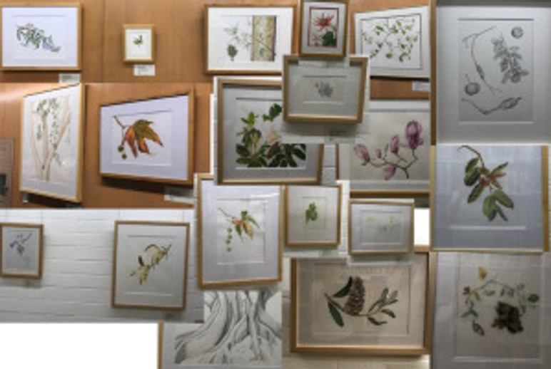 A collage of artwork in the exhibition in The Arboretum Library. Photo collage by Janice Sharp, © 2017.