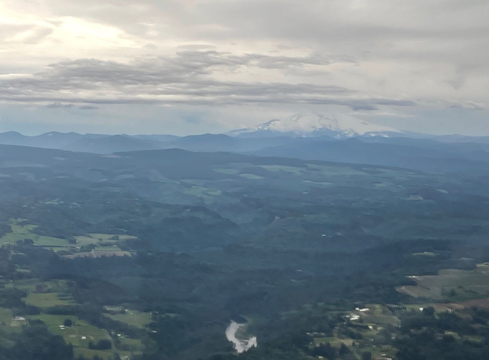 Oregon "Fuji" (Mt. Hood), view from the plane. photo by Mitsuko Schultz.