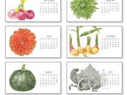 Sally Jacobs’ Botanical Art Calendar Available for Holiday Gift Giving