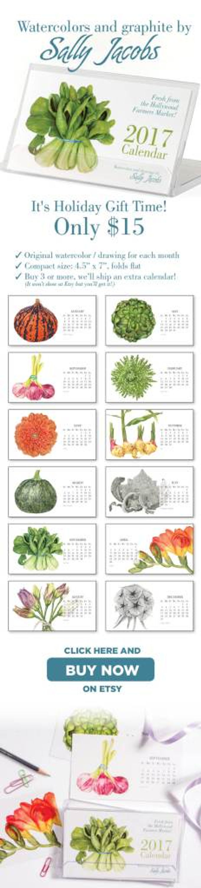 Sally Jacobs' 2017 Gift Calendar, © 2016 Sally Jacobs, All rights reserved.