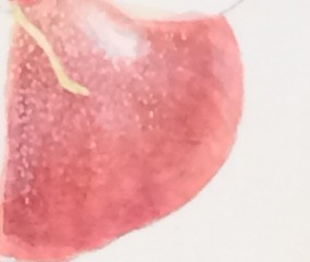 Asuka Hishiki masking fluid technique. Photo by Gilly Shaeffer, © 2015.