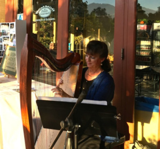 BAGSC member Terri Munroe played beautiful harp music to accompany our dinner on the Peacock Café patio.