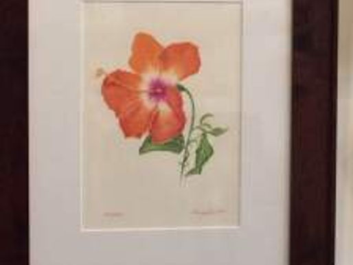 Nancy Grubb Juried into Creative Arts Group