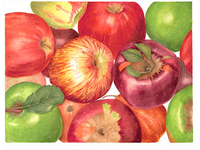 Sally Jacobs, New Works at TAG Gallery