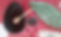 file4.jpg