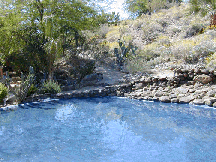 Pool of water at the garden