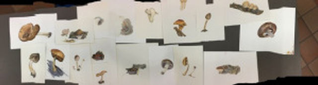 These are examples of our work!