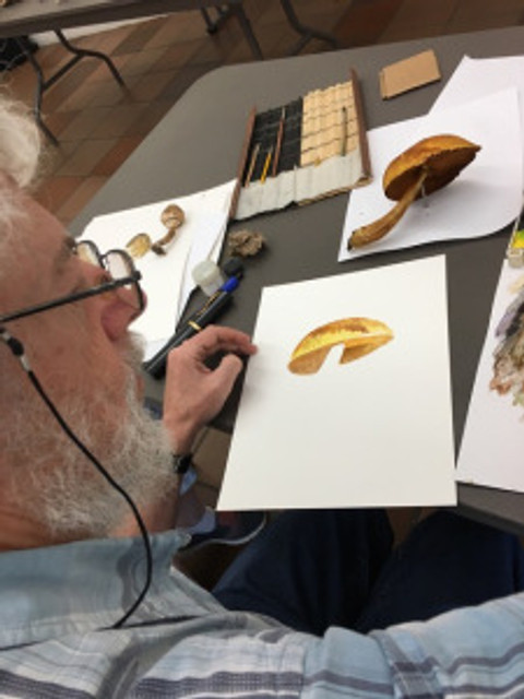 Sasha Viazmensky demonstrating initial watercolor technique for painting a mushroom.