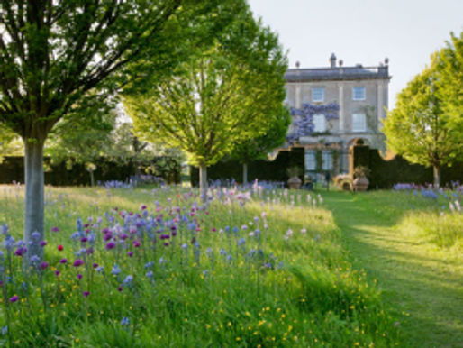 Margaret Best to teach a botanical workshop in the Cotswolds