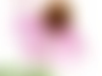 Margaret Best and Melanie Campbell-Carter Accepted into the 18th Annual Annual International ASBA at