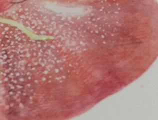 Asuka Hishiki masking fluid technique. Photo by Gilly Shaeffer, © 2015.