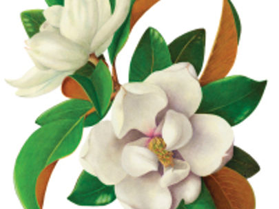 Cristina Baltayian classes at the Los Angeles Arboretum