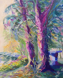 14457444_10207272351114678_8515281185646