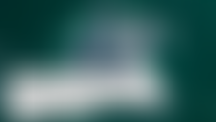 Guest Blog: Humpback Whales Migration Special Along Australia's Coastline 🎥