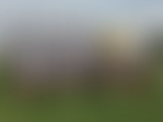 Torneo de Clubes Campeones ¡América se juega la clasificación!