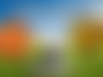 Previa a la Final Senior Clausura 2018