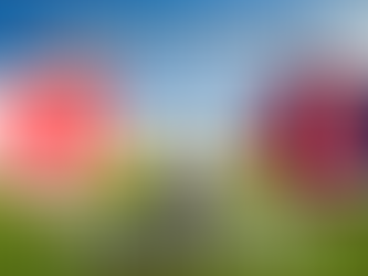 Senior: Todo lo que debes saber de la final de Copa de Plata