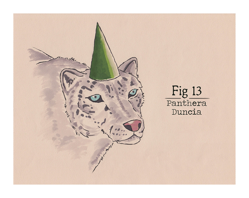 Fig. 13 Panthera Duncia (Print)