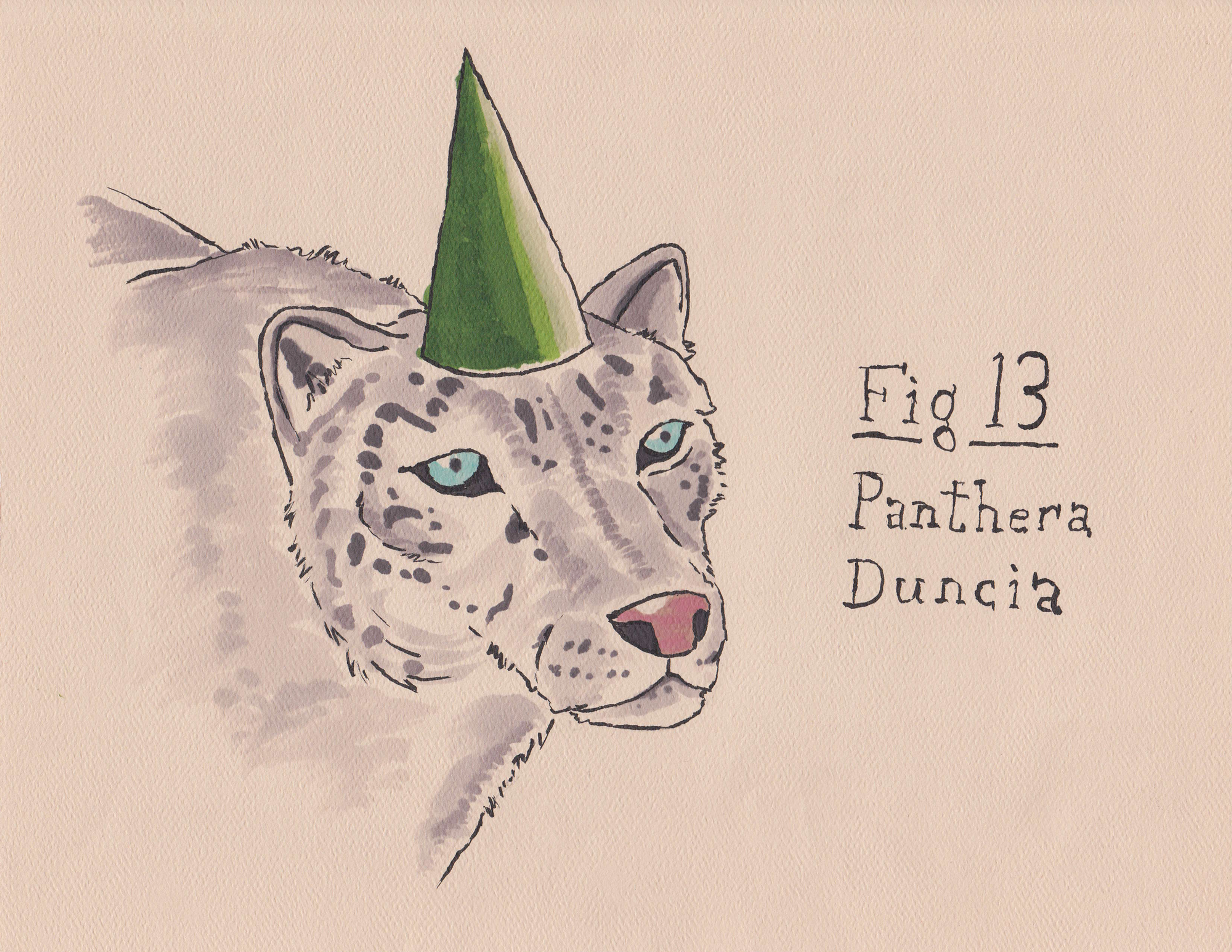 Fig. 13 Panthera Duncia (Original)
