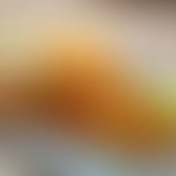 Penang's Foodie Paradise: 10 Essential Street Food Experience in Penang