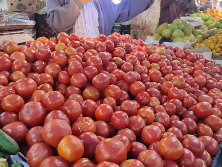 Research project: Tomatoes and plastics in Jordan