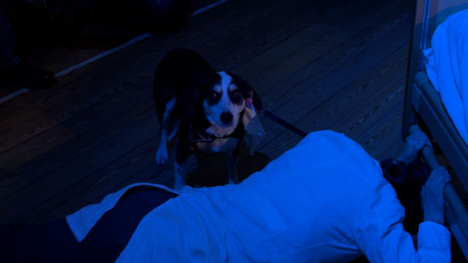 Sequence-01.00_09_52_12.Still001_307_670