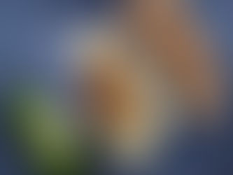 A Most Bewitching Brown Sugar Chicken