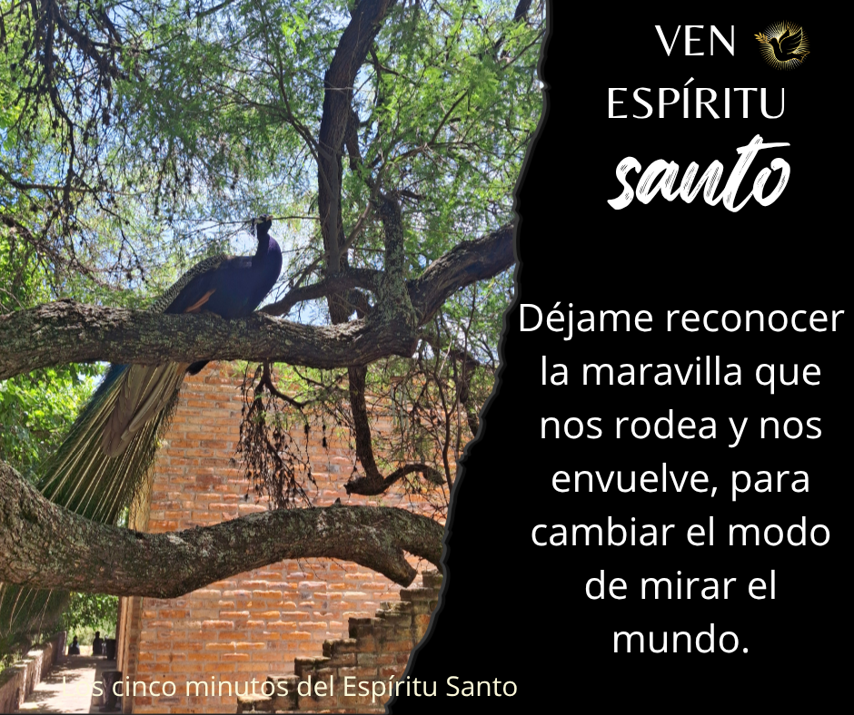 Los cinco minutos del Espíritu Santo 🕊️