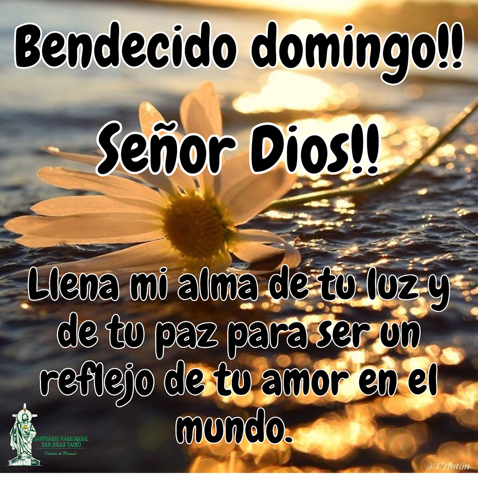 Oración del día