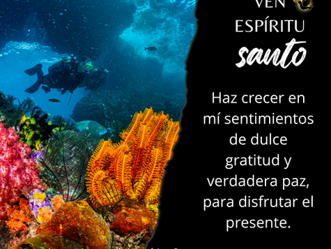 Los cinco minutos del Espíritu Santo 🕊️