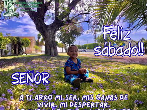 Oración del día