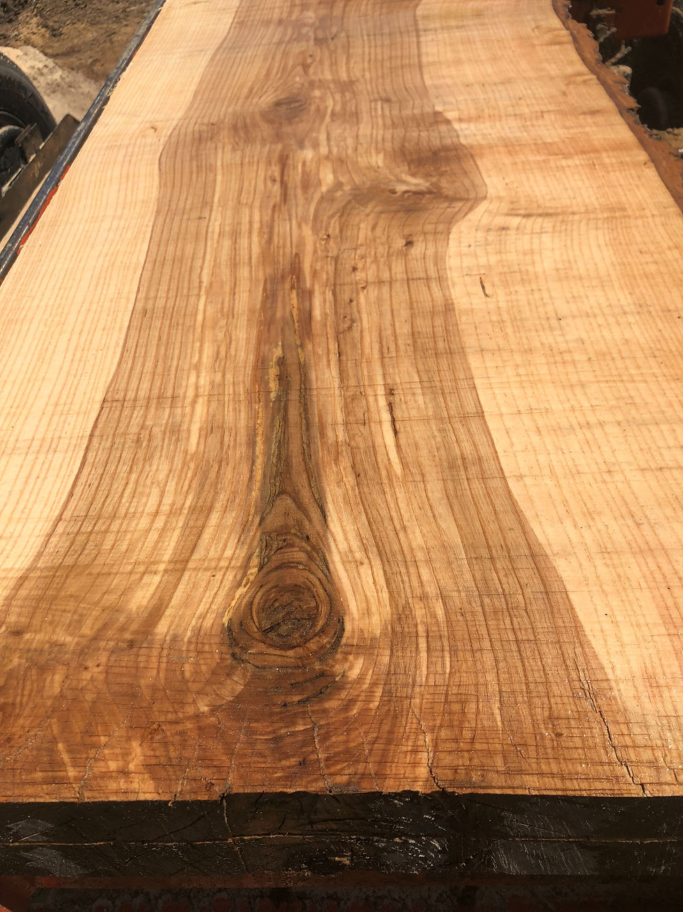 Thumbnail: Ash Boards