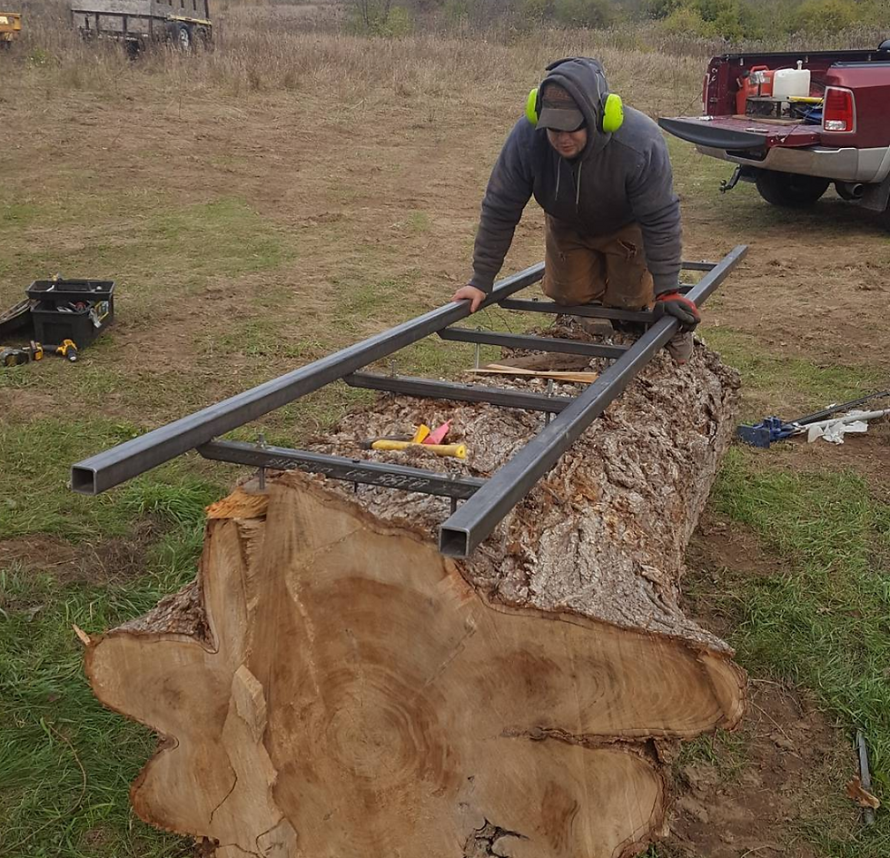 Big burly elm log