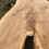 Thumbnail: Ash slabs