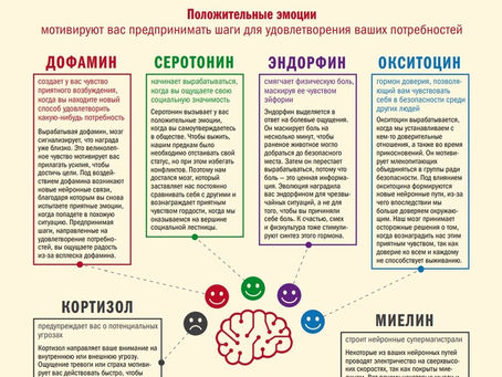 Химия нашего мозга