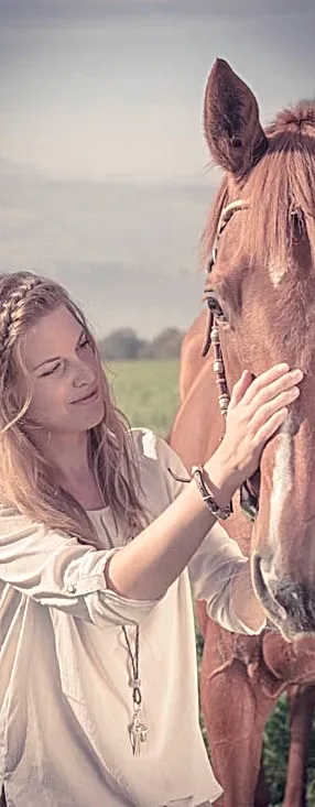 Download Etwas zu schaetzen wissen HD Etwas Zu Schaetzen Wissen