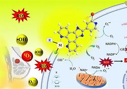 WhatsApp Image 2026-02-21 at 4.05.12 PM.jpeg