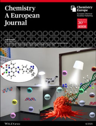 WhatsApp Image 2025-10-16 at 10.08.44 AM.jpeg