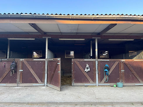 WhatsApp Image 2024-06-26 at 20.42.10.jpeg