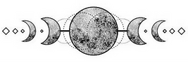 IMG_7725_edited.png