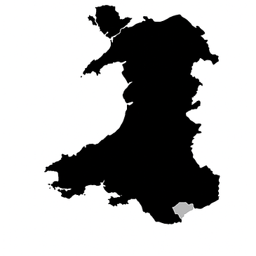 Cardiff Vehicle Transportation