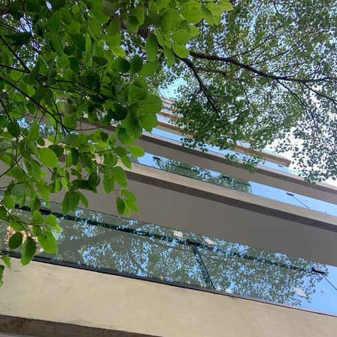 Juncal_4648 (19).jpeg
