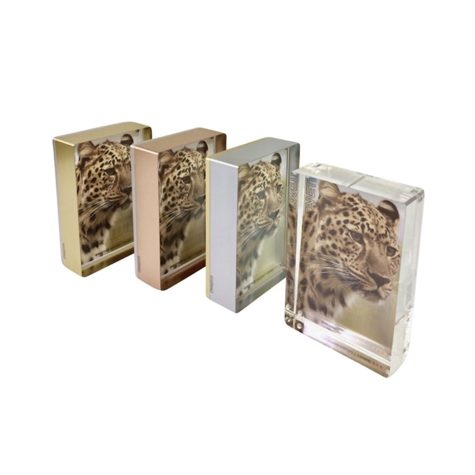 canetti design acrylic frame