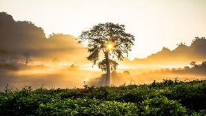              You are the Dwelling Place