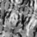 In Progress.  Landscape | Value | Form