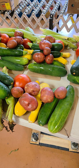 Pantry veggies 7-16-25.jpg